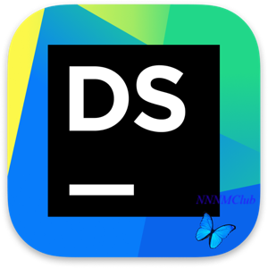 JetBrains DataSpell 2024.2.1 (WIN)